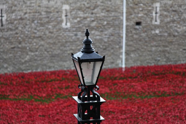 'Blood Swept Lands and Seas of Red', Tower of London, 2014.  Artist: Sheldon Marshall