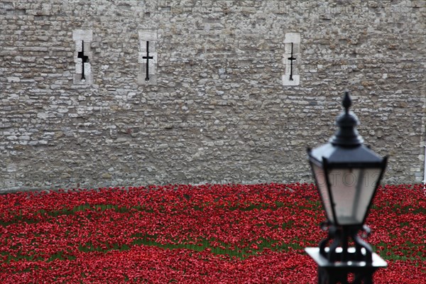 'Blood Swept Lands and Seas of Red', Tower of London, 2014.  Artist: Sheldon Marshall