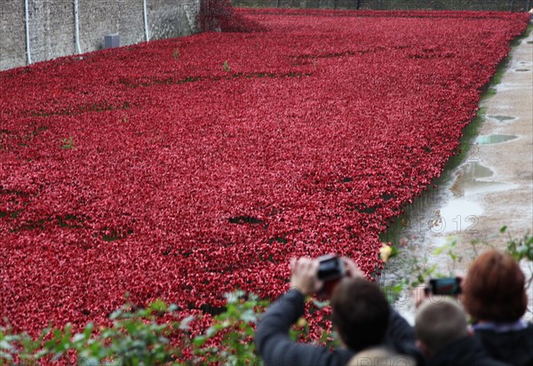 'Blood Swept Lands and Seas of Red', Tower of London, 2014.  Artist: Sheldon Marshall