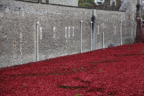 'Blood Swept Lands and Seas of Red', Tower of London, 2014.  Artist: Sheldon Marshall