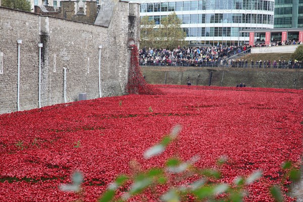 'Blood Swept Lands and Seas of Red', Tower of London, 2014.  Artist: Sheldon Marshall