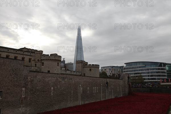 'Blood Swept Lands and Seas of Red', Tower of London, 2014.  Artist: Sheldon Marshall