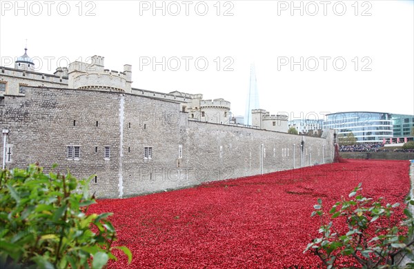 'Blood Swept Lands and Seas of Red', Tower of London, 2014.  Artist: Sheldon Marshall