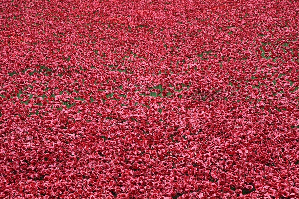 'Blood Swept Lands and Seas of Red', Tower of London, 2014.  Artist: Sheldon Marshall