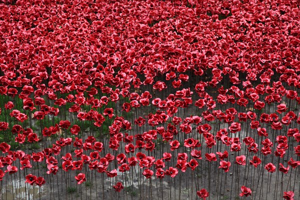 'Blood Swept Lands and Seas of Red', Tower of London, 2014.  Artist: Sheldon Marshall