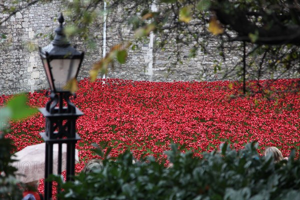 'Blood Swept Lands and Seas of Red', Tower of London, 2014.  Artist: Sheldon Marshall