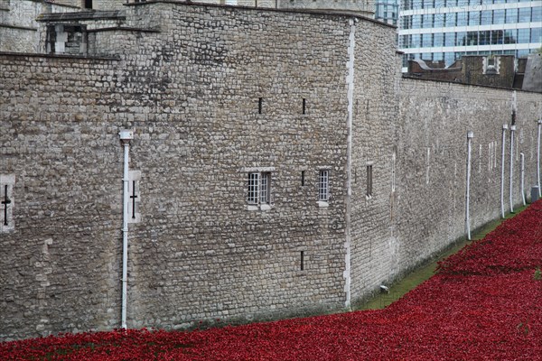 'Blood Swept Lands and Seas of Red', Tower of London, 2014.  Artist: Sheldon Marshall