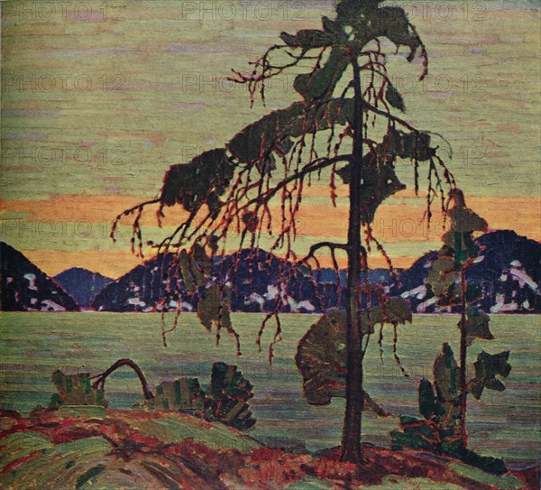 The Jack Pine, 1917. (1925). Artist: Thomas John Thomson