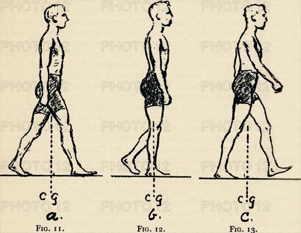 Depicting Main Principles of Locomotion, 1940. Artist: Unknown