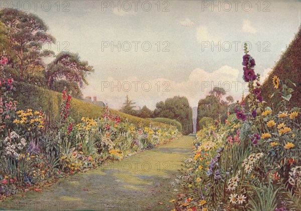 The Long Border, Holme Lacy, (1903). Artist: Ernest Arthur Rowe