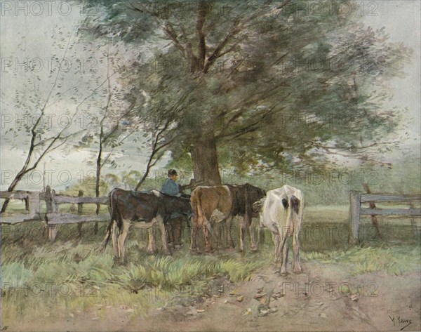 Milking Time, c1858-1888, (1906-7). Artist: Anton Mauve