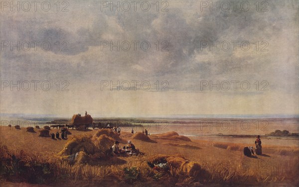 A Cornfield, 1815, (1938). Creator: Peter de Wint.