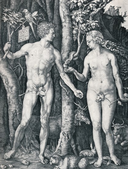 'Adam and Eve', 1504 (1906). Artist: Albrecht Durer.