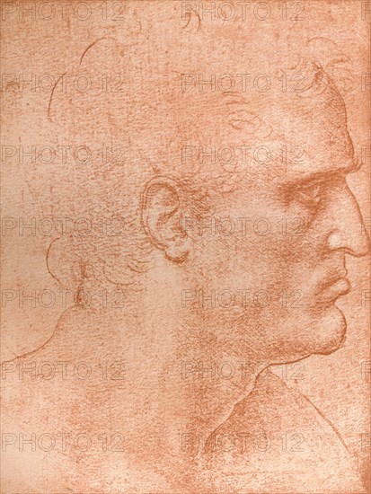 Study for the head of St Matthew in `The Last Supper`, c1494-c1499 (1883).  Artist: Leonardo da Vinci.