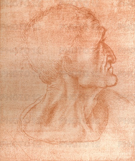 Study for the head of Judas in `The Last Supper`, c1494-c1499 (1883).  Artist: Leonardo da Vinci.