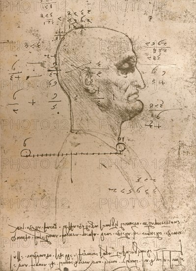 Drawing of the head of a criminal, c1472-c1519 (1883). Artist: Leonardo da Vinci.