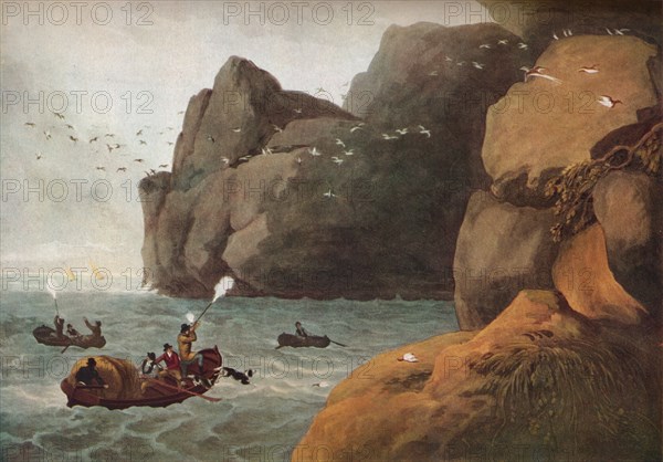 'Puffin Shooting', c1806. Artist: Nichols and Merke.