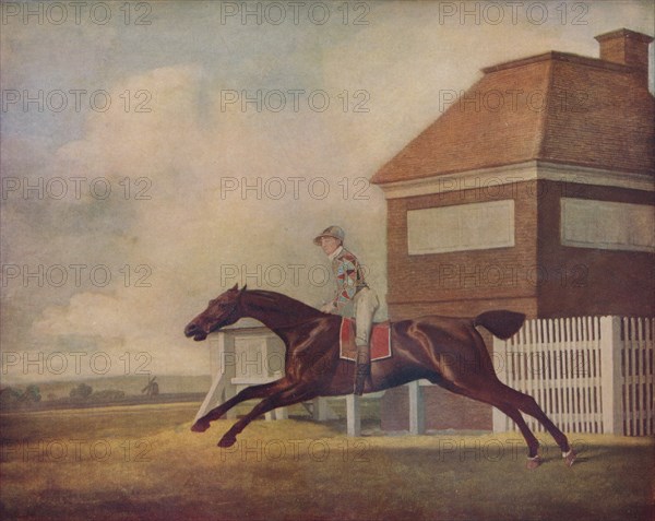 'Mr. Ogilvy's Bay Racehorse Trentham at Newmarket with Jockey up', 1771. Artist: George Stubbs.