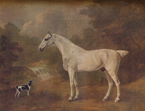 'A Flea-Bitten Grey and a Spotted Terrier', 1803.