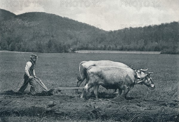 'The Ploughman', c1903. Artist: Vernon Royle.