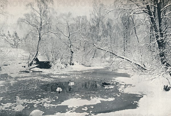 'Winter view of the open-air museum at Skansen', c1900. Artist: Unknown.