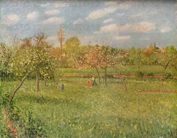 'Apple Trees at Eragny, Morning Sunshine', c1896. Artist: Camille Pissarro.