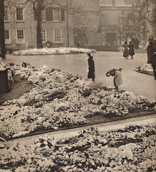 'The State Funeral of King George V at Windsor: memorial wreaths', 1936. Artist: Unknown.