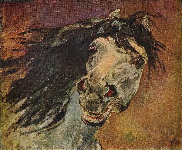 'Tete De Cheval Andalou', c1910. Artist: Alfred Roll.