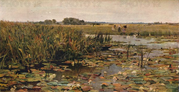 'Water Lilies', c1870. Artist: James Aumonier.