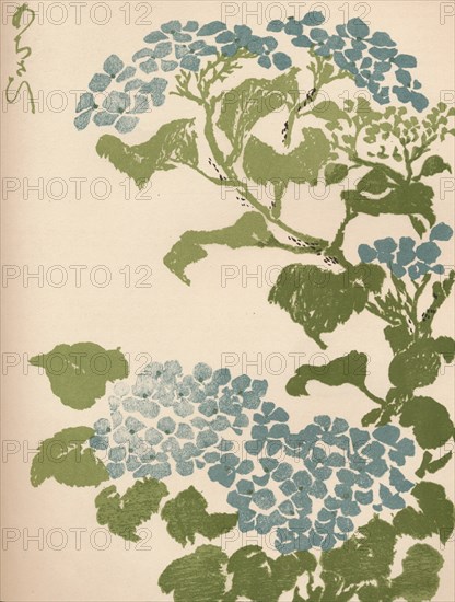 'Hydrangea', 1838. Artist: Ikeda Eisen.