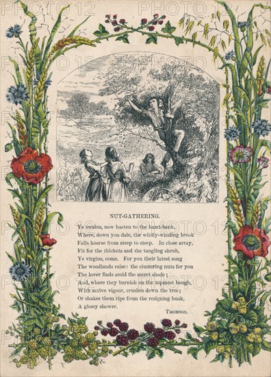 'Nut-Gathering', by Thomson, c1900. Artist: Unknown.