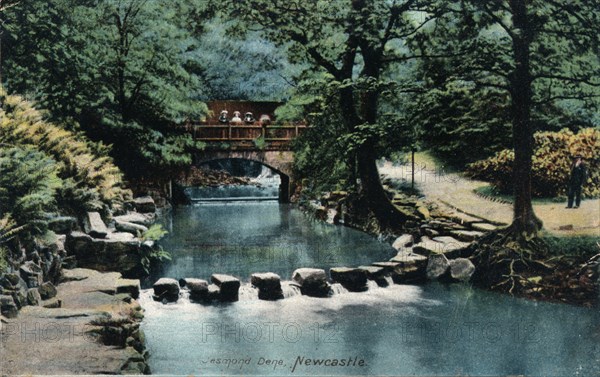 Jesmond Dene, Newcastle, c1905. Artist: Unknown.