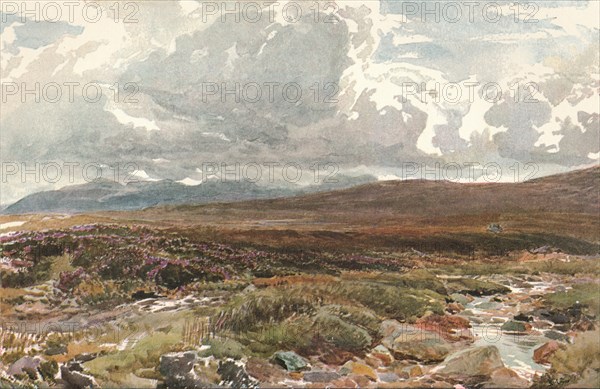 'A Sussex Common', c1889. Artist: Thomas Collier.