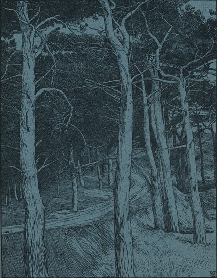 Woodland, c1912. Artist: Willem Wenckebach.