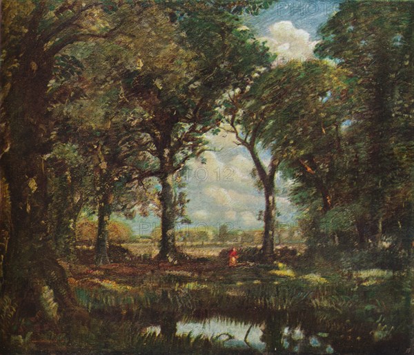 'A Woodland Pool', c1905. Artist: David Muirhead.