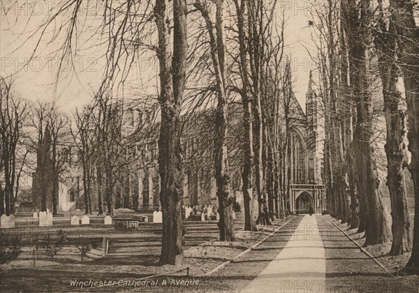 Winchester Cathedral and Avenue, Hampshire, early 20th century(?). Artist: Unknown.