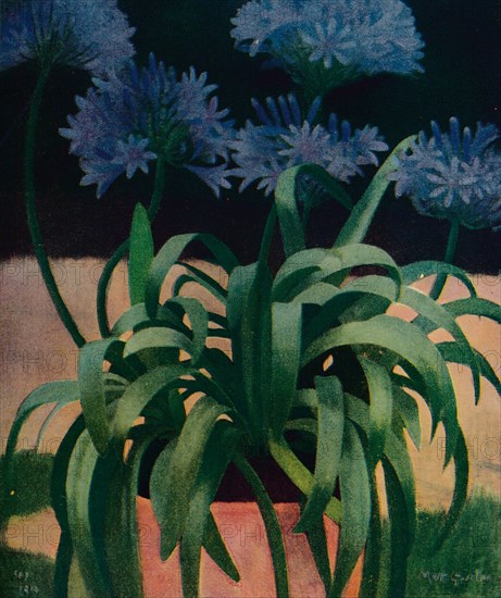 'Agapanthus', 1914, (c1932). Artist: Mark Gertler.