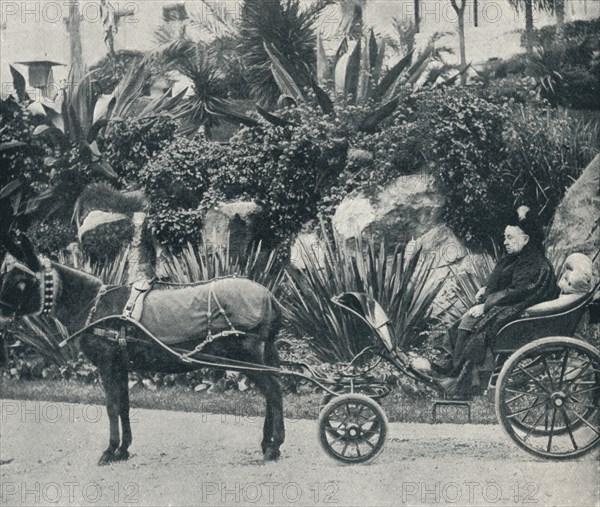 'The Queen Driving in the Grounds of the Grand Hotel at Grasse During Her Holiday in the Riviera in  Artist: Alexander Lamont Henderson.