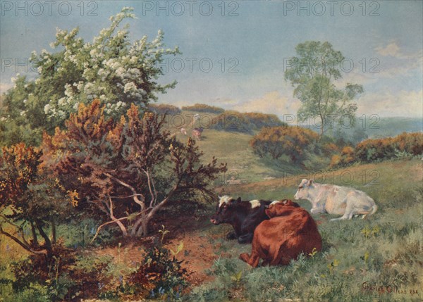 'Landscape with Cattle (In the Nower, Dorking)', c1899. Artist: Charles Collins.