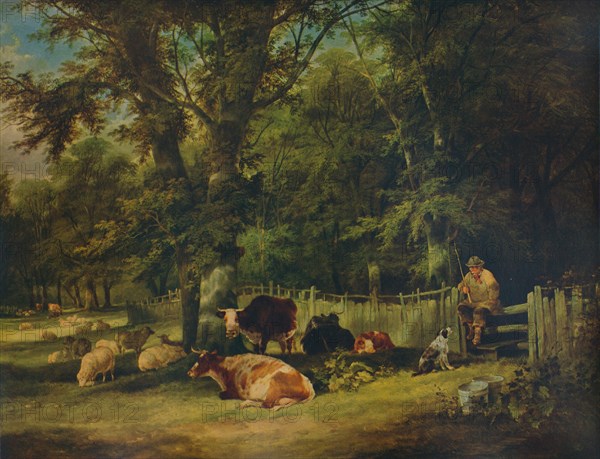 'A Shady Corner', 1840. Artist: William Shayer.