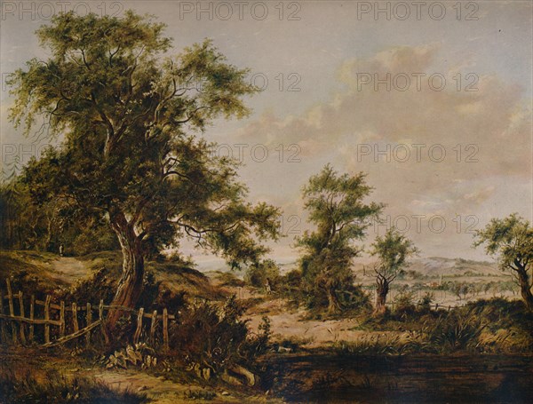'Landscape, with Pool and Tree in foreground', 1828. Artist: Patrick Nasmyth.