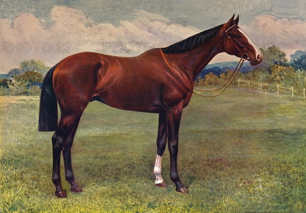 Spearmint, c1905 (c1910). Artist: Unknown.