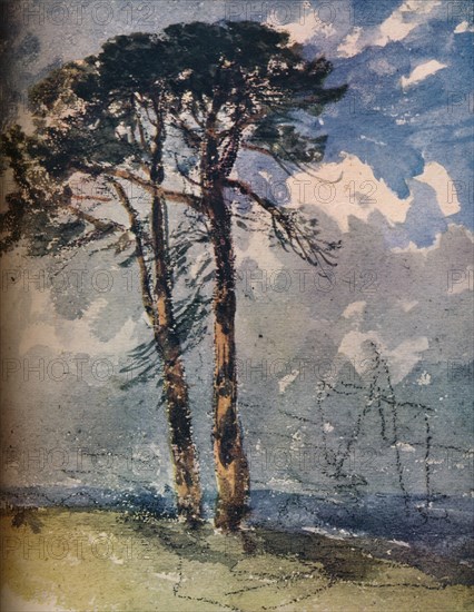 'Scotch Firs',1805. Artist: David Cox the elder.