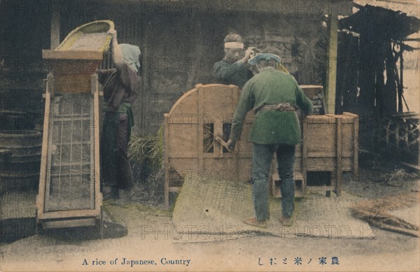 'A rice of Japanese, Country', c1910.  Artist: Unknown.