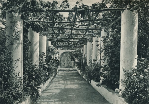 Pergola in a vineyard, Capri, Italy, 1927. Artist: Eugen Poppel.