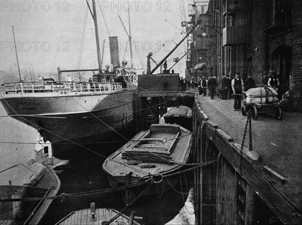 Cotton's Wharf, Tooley Street, London, c1900 (1901). Artist: Unknown.