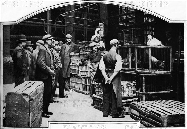 A corner of Leadenhall Market, London, c1901 (1901). Artist: Unknown.