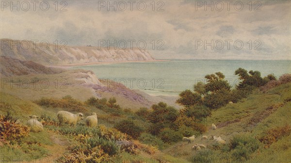 The Warren, Folkestone', c1876, (1938). Artist: Frederick Williamson.