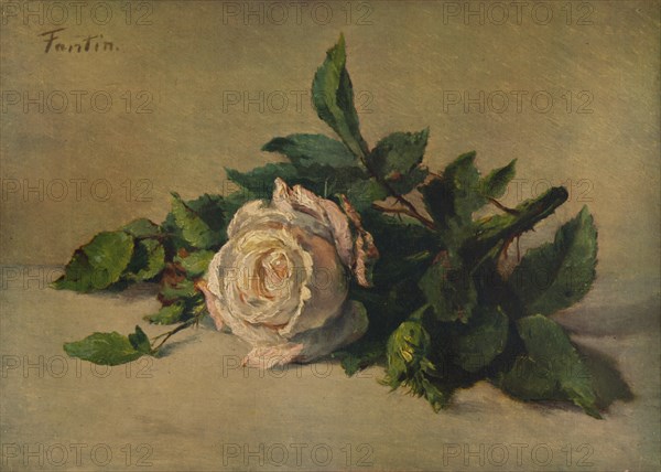 'White Rose', c1863, (1938). Artist: Henri Fantin-Latour.