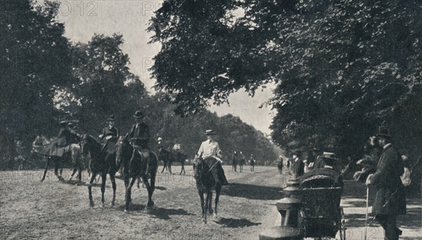 'Rotten Row, Hyde Park', c1900. Artist: Unknown.